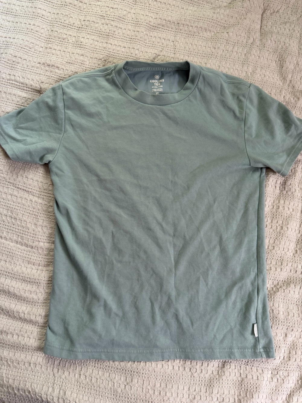 Hollister Men's Crew Neck T-Shirt in Sage Green